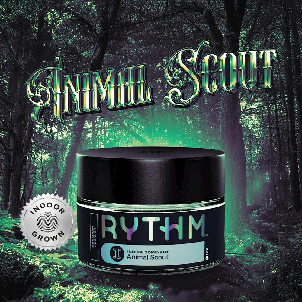 Animal Scout