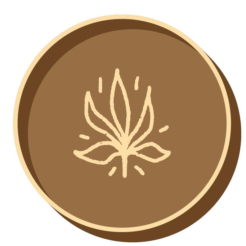 Miss Jones - Ashtray - Brown