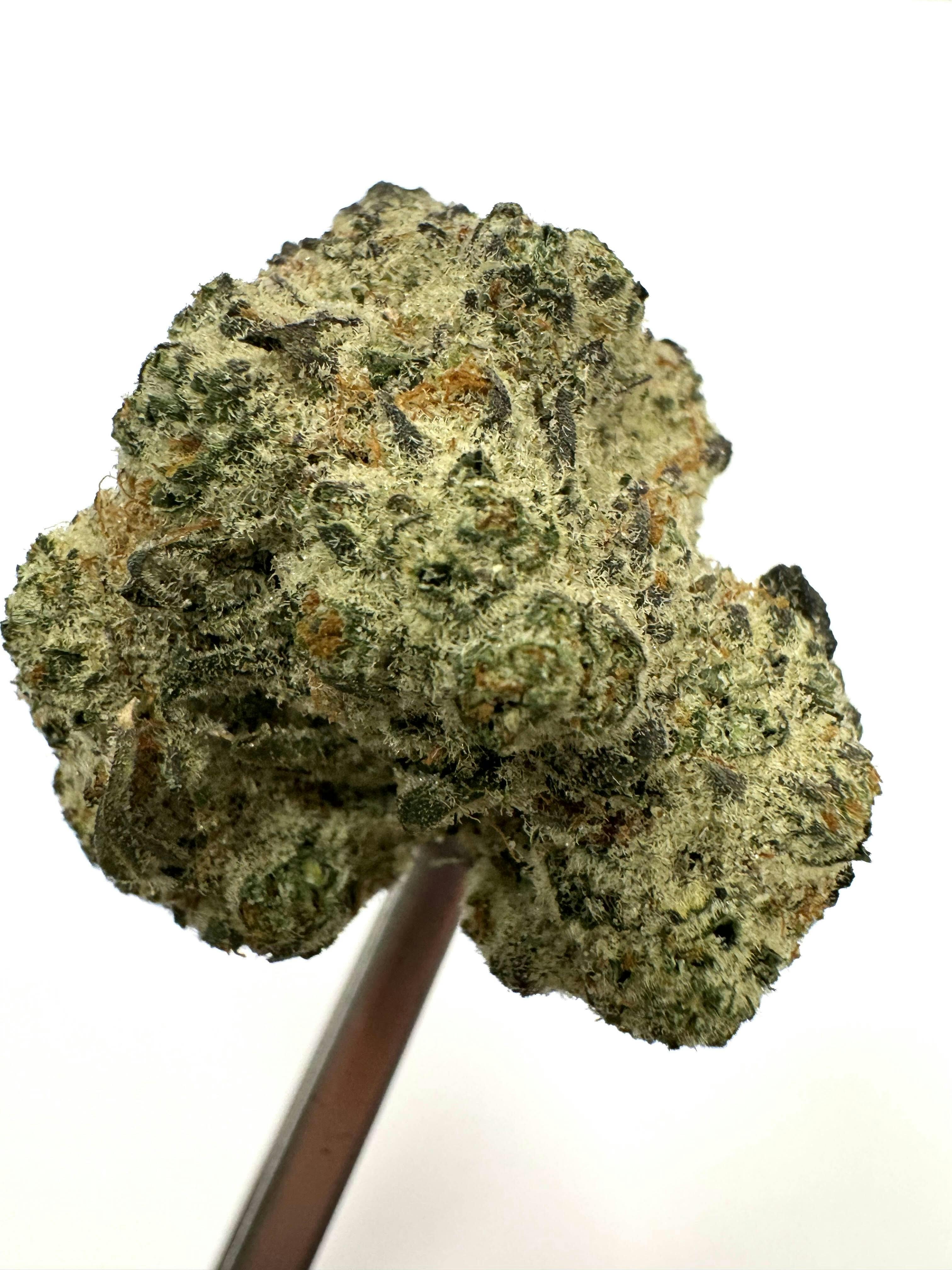 Midnight Kush