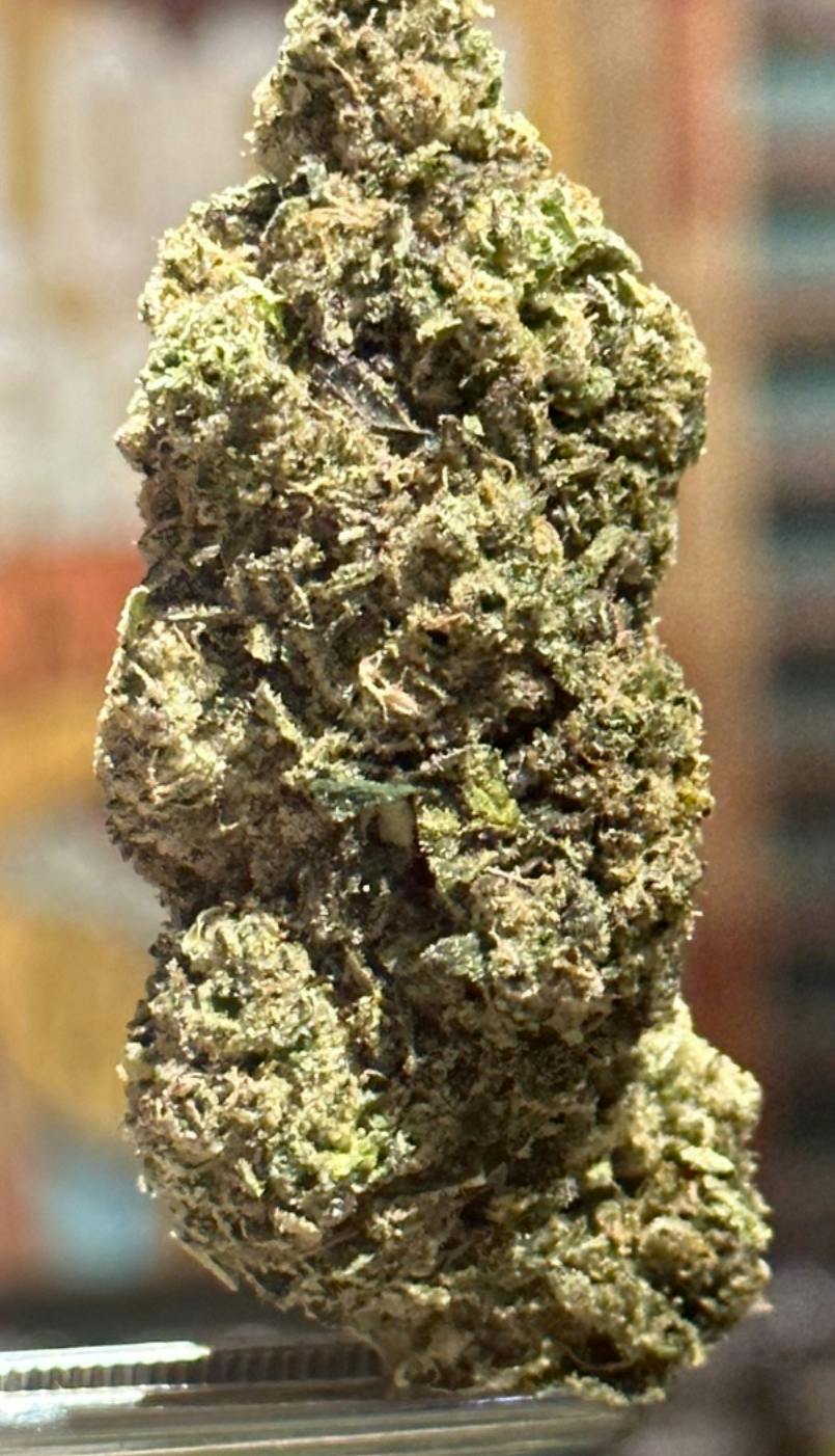 Stink Tsunami