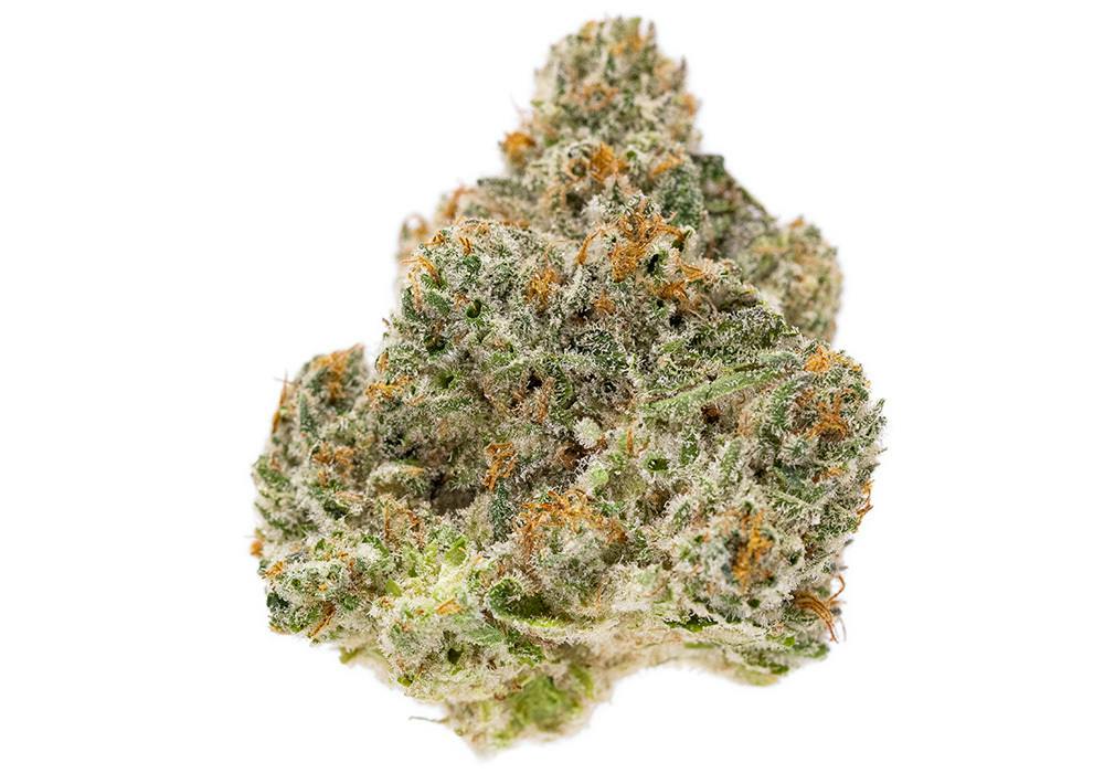 Snowball #5