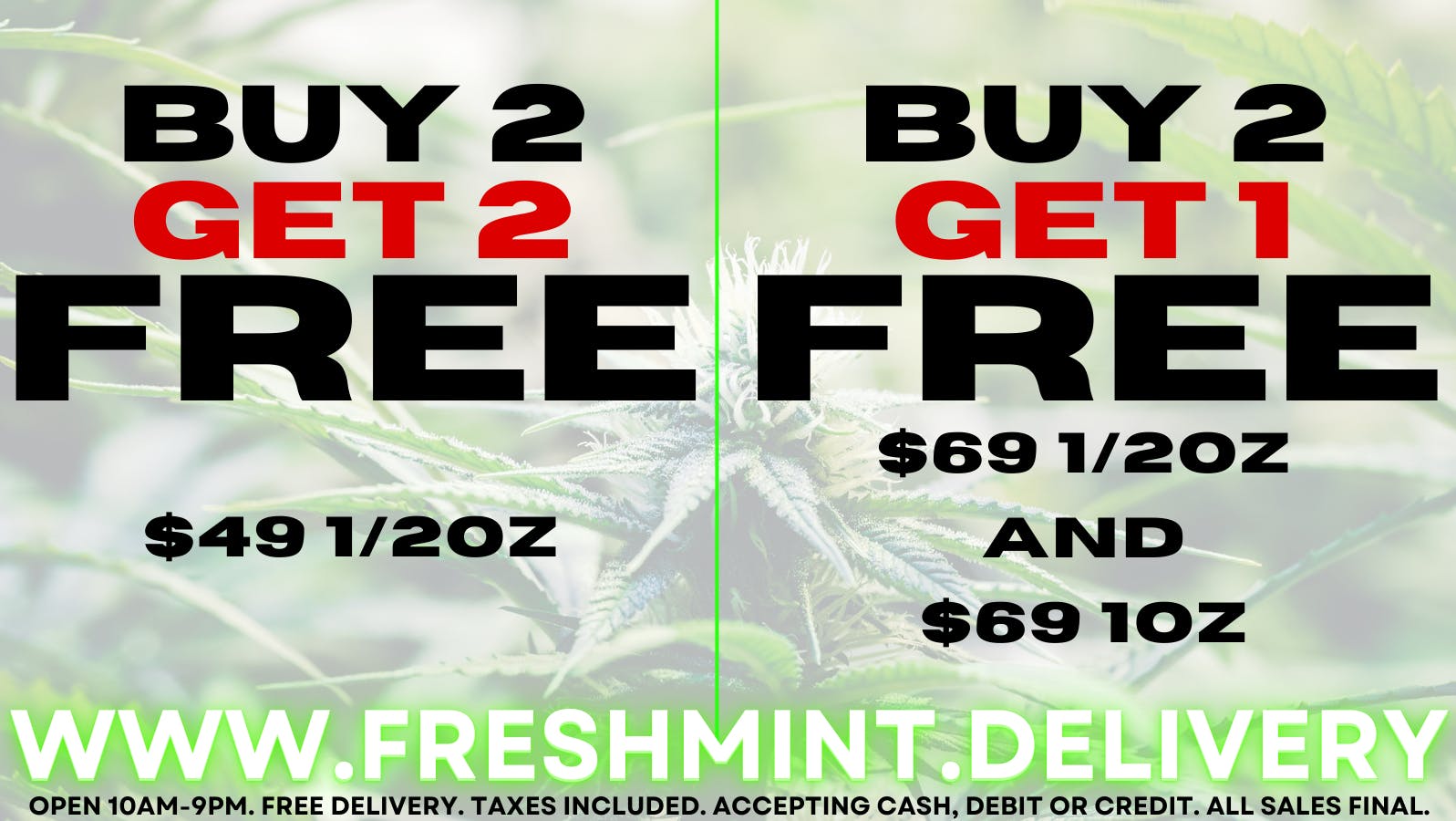 BUY 2 GET 2 & BUY 2 GET 1 FLOWER at Fresh Mint Richmond / Hercules
