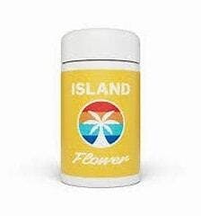 MARZ FLOWER