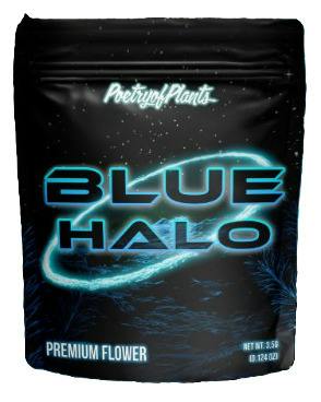 BLUE HALO FLOWER
