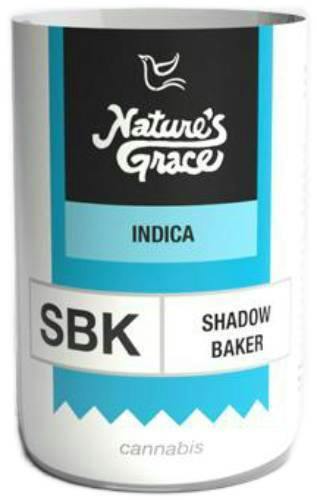 SHADOW BAKER FLOWER