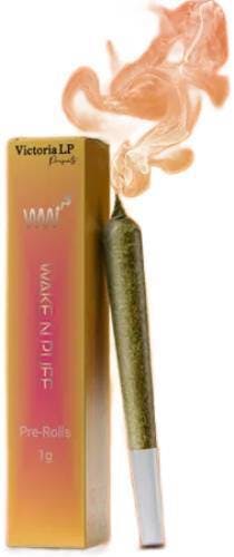 SUNRISE MANGO KEYSHIA PREROLL