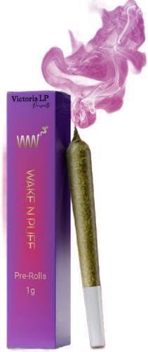 BERRY BLISS WUGA PREROLL