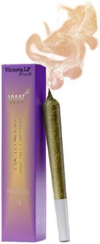 TWILIGHT BERRY DIRTY EAGLE PREROLL