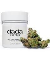 Dada (Exotics) | Sour Headband | Flower