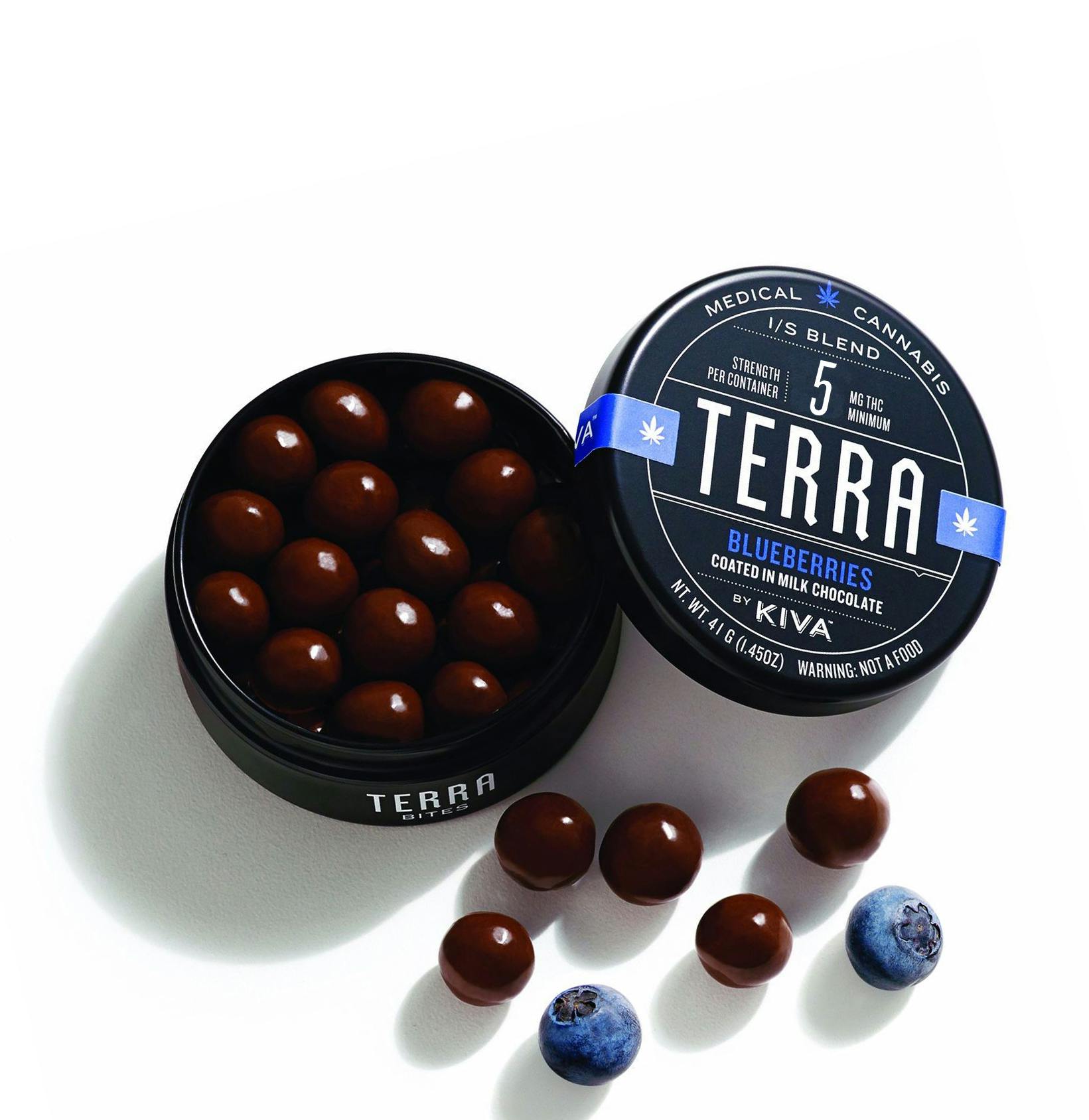Milk — Blueberry Bites