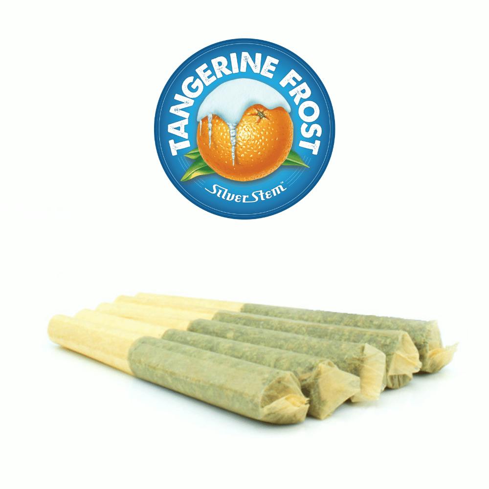 Tangerine Frost 1/2g Preroll 5 Pack | Sativa