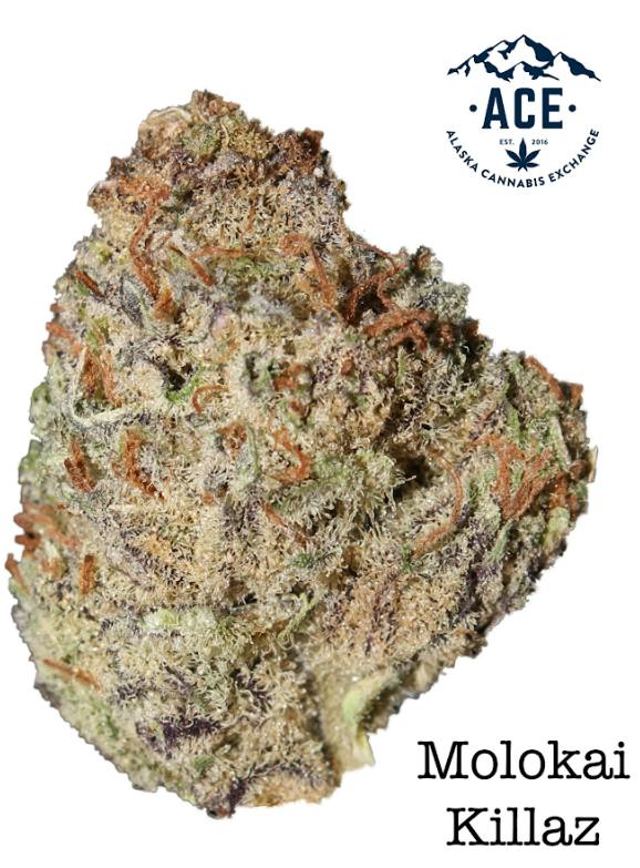Alaska Cannabis Exchange Molokai Killaz Flower