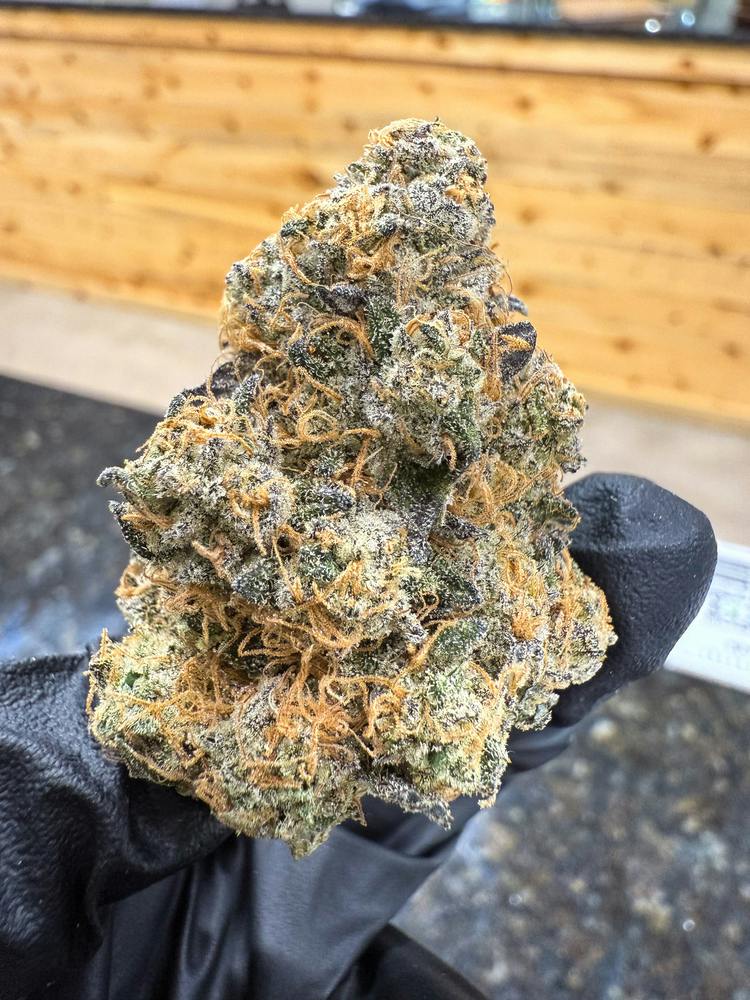 Black Maple | Magic City Farms