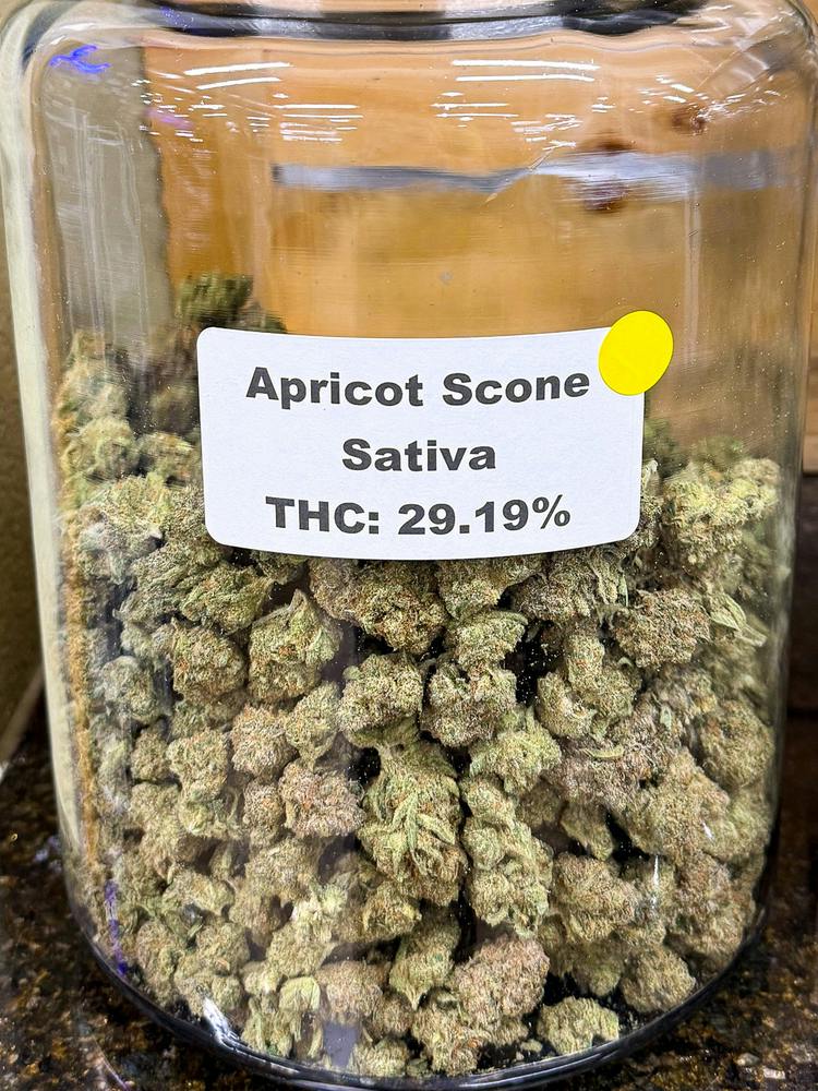 Apricot Scone | Rare Dankness