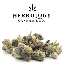 Owners Club Canna | Stank Breath | Deli