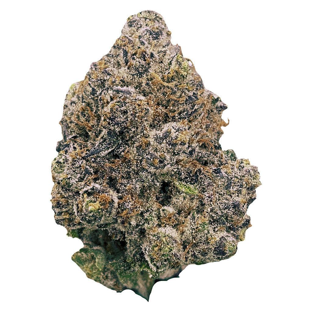 Nueva Choice 7g Dried Flower