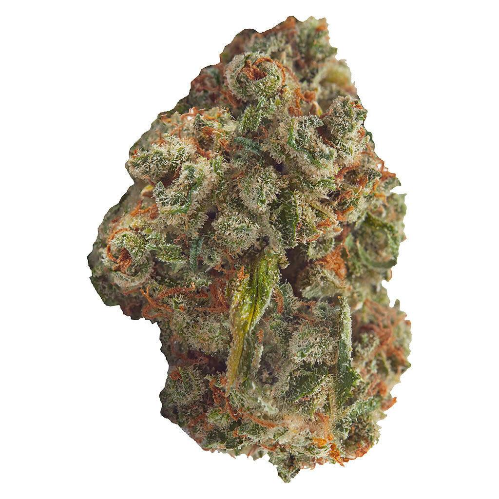 Contraband Somari Flower