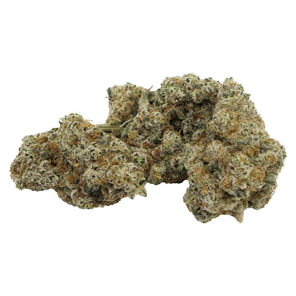 Violet Tourist Day & Night Superflower Pack 14g Dried Flower