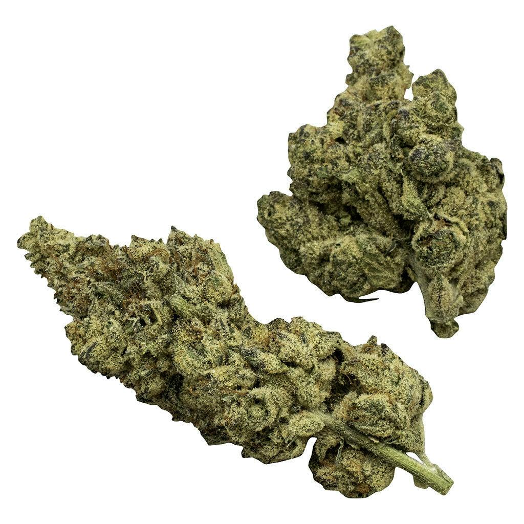 Rosin Heads The Conspiracy Series 14g Dried Flower