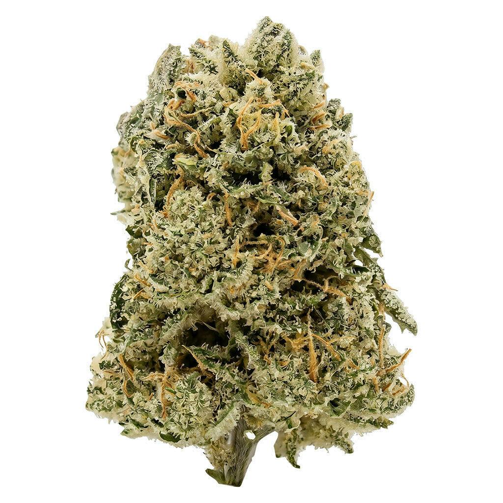 Overtime Full Shift 28g Dried Flower