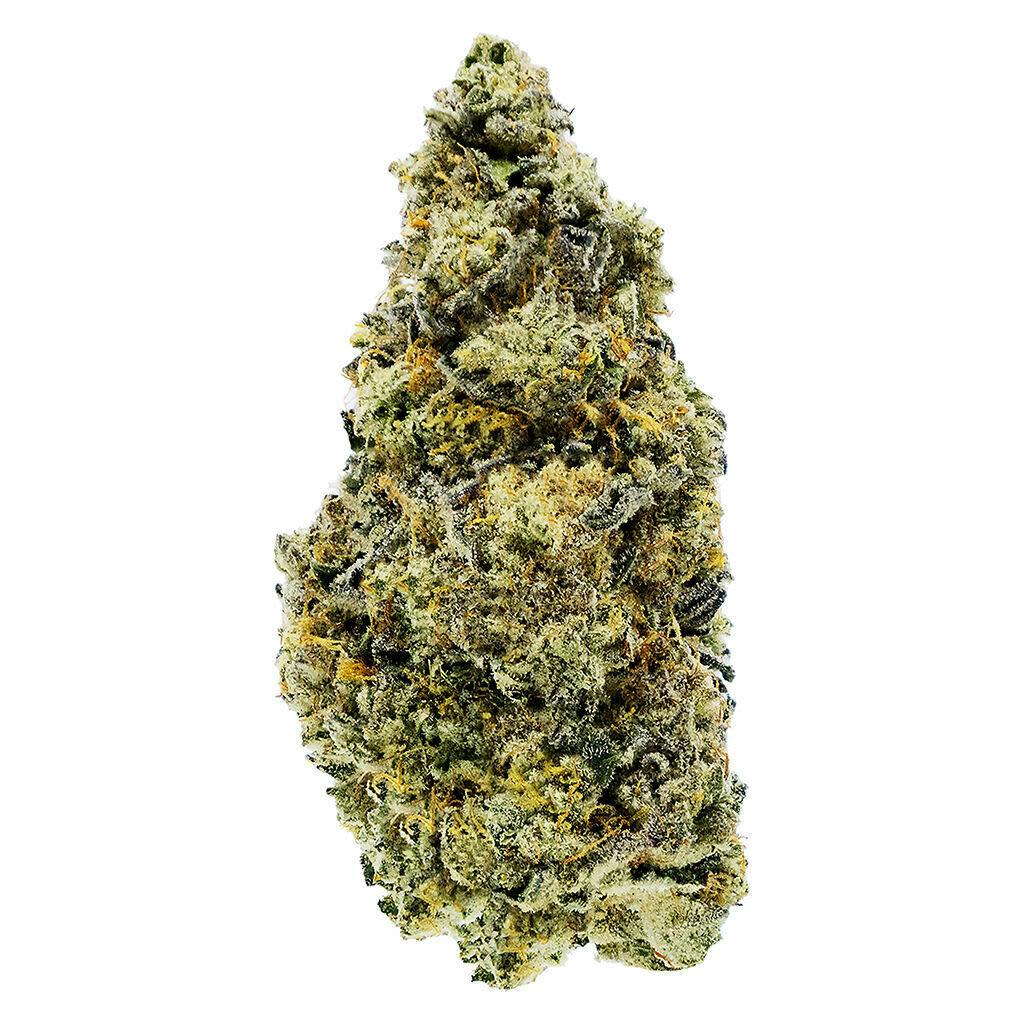 Woody Nelson Dark Rainbow Craft Flower 14g Dried Flower