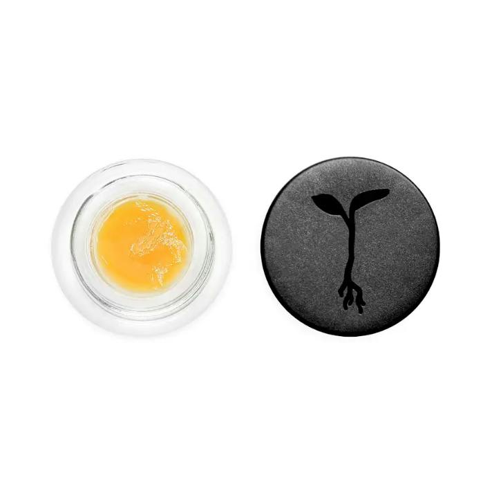 RAW GARDEN SUGAR BEARS 1G
