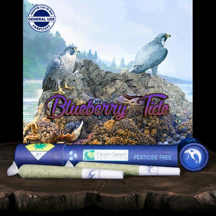 JO 2pk Blueberry Tide 1.2g Falcanna