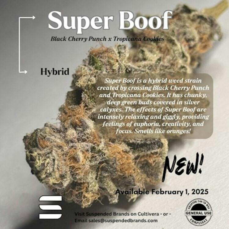 Fl Super Boof Suspended