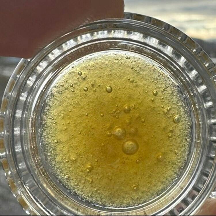 CO LRO Governmint Oasis 1g Skunk Processor