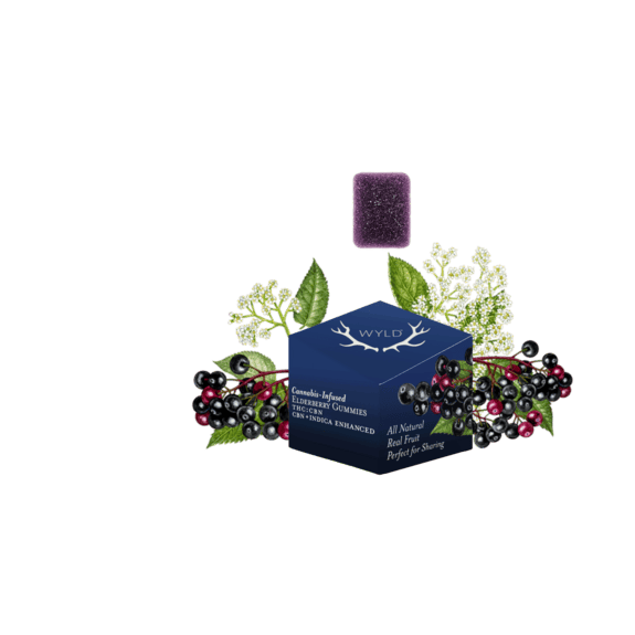 ED 10pk CBN Elderberry Gummies Wyld