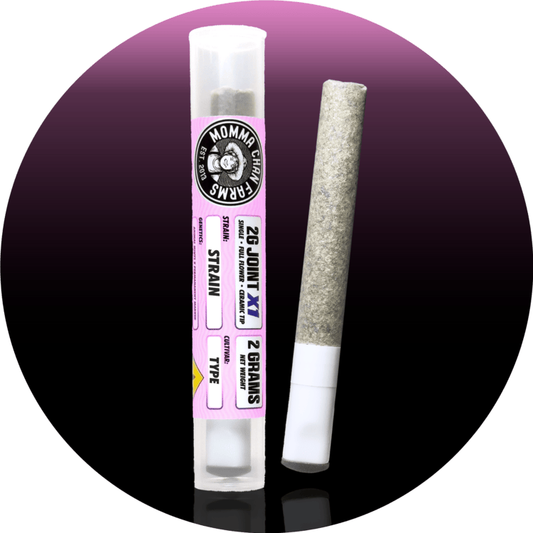 JO 1pk Big Momma Hallie Berry 2g Momma Chan Farms