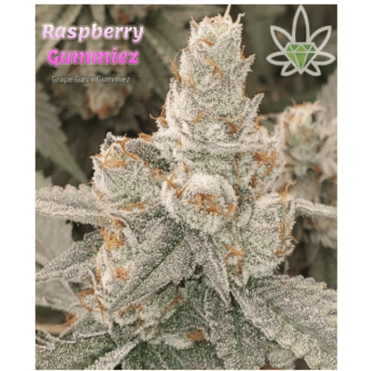 FL Raspberry Gummiez 7g High End Farms
