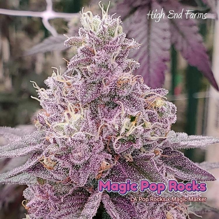 IJ 2pk Hash Magic Pop Rocks 1g High End Farms
