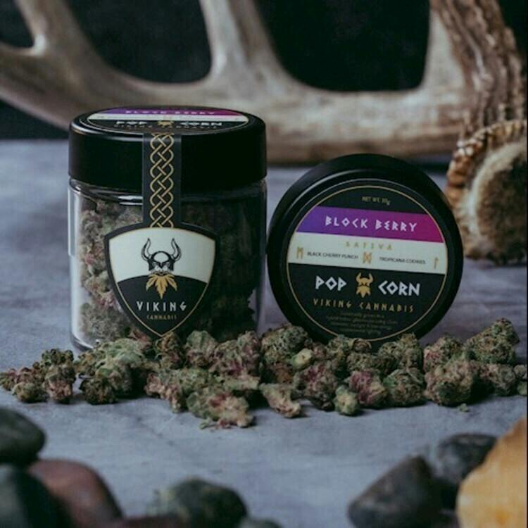 FL Popcorn Block Berry 10g Viking