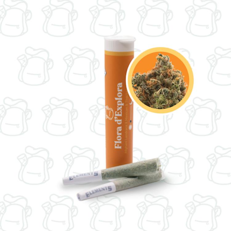 JO 2pk Flora d'Explora 1g Dewey Cannabis Co