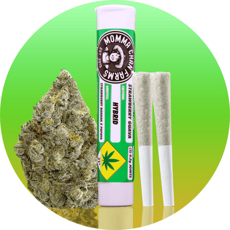 JO 2pk Strawberry Guava 1g Momma Chan Farms