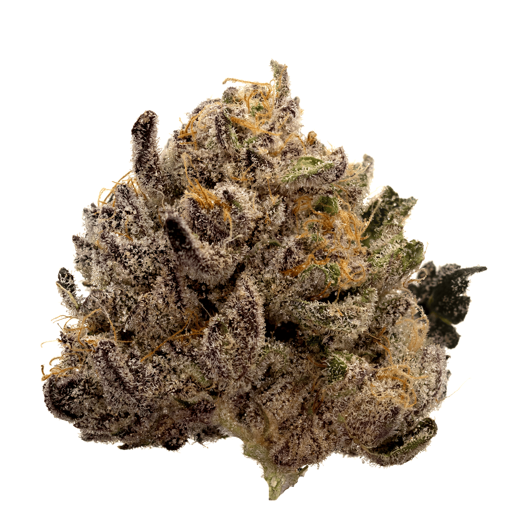 Highbrow | Gelato 33 | Flower | 3.5g.