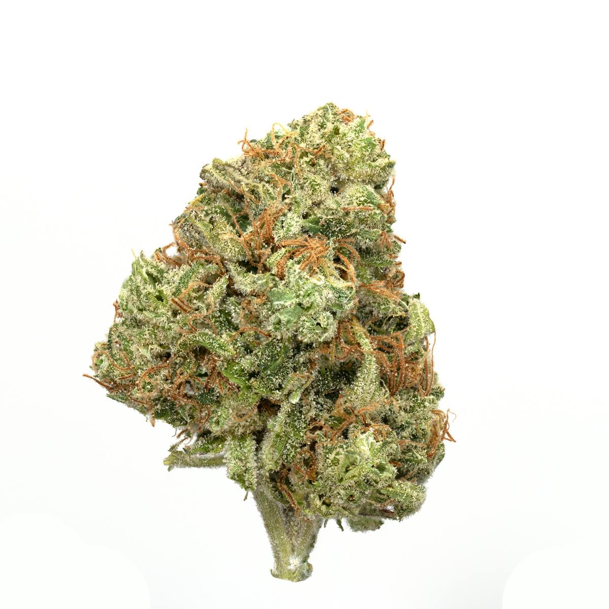 Lumberjacks | Grapefruit Haze | Flower | 3.5g. at Highbrow