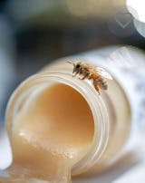 Zillas | THC Wild Flower Honey | Edible