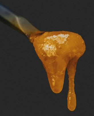 Fresh Coast | Zoap | Cured Resin Badder