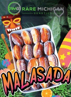 Rare MI Genetics | Malasada | Pre-Roll