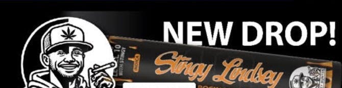 Stingy Lindsey | Mango Mintz | Rosin Infused Blunt