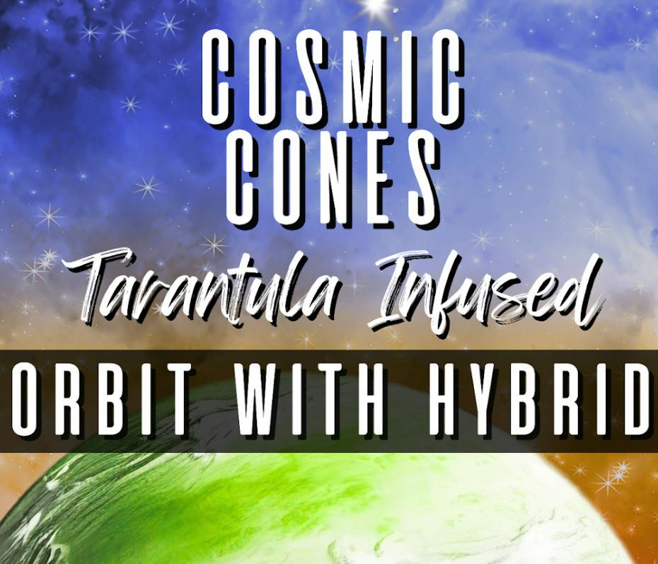 Cosmic Cones | Blueberry | Tarantula Infused Pre-roll