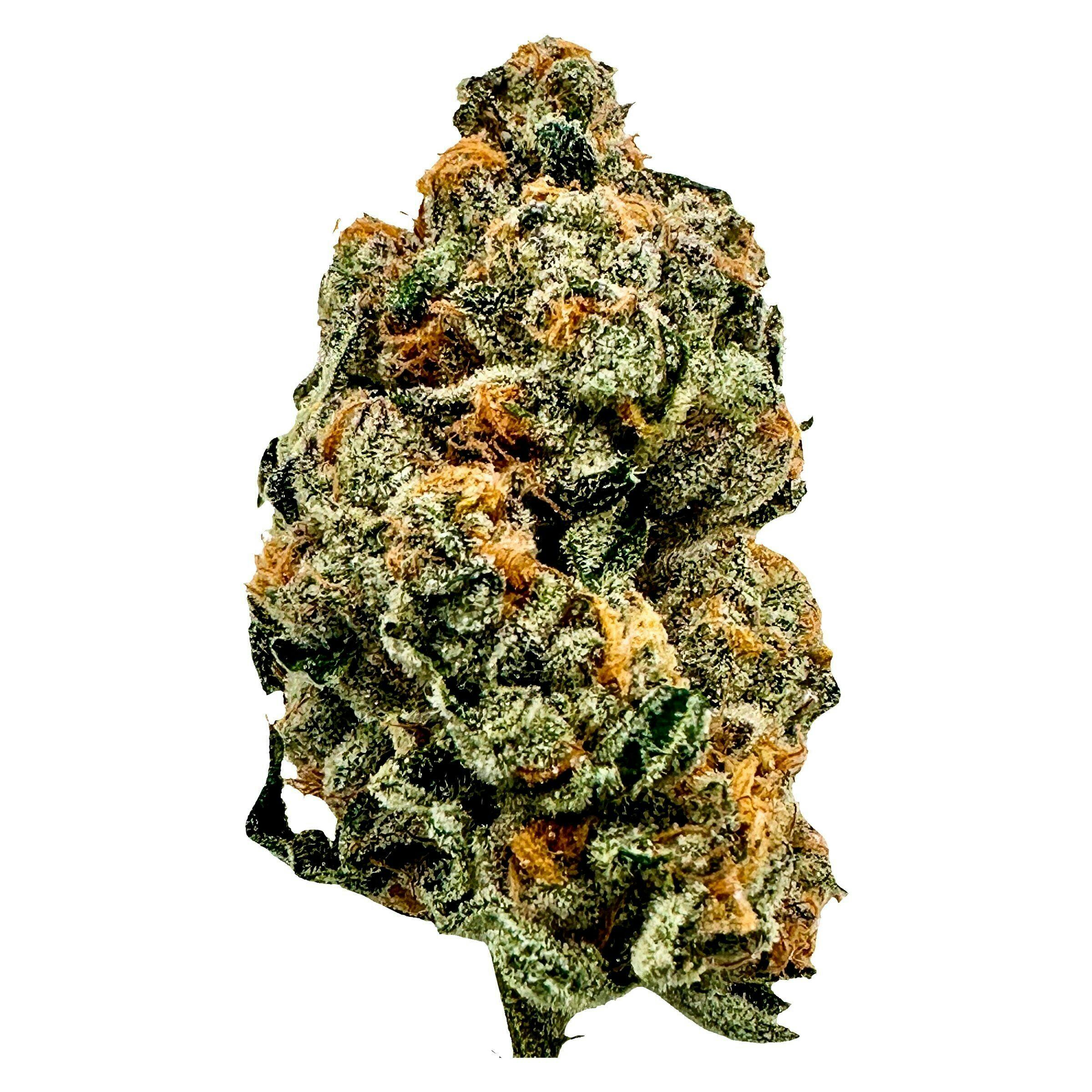 TICAL - The Method - Hybrid Flower - 3.5g