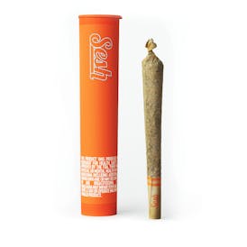 Apricot Scone x Golden Goat (S) - .75g Wax Infused Cone - Sesh