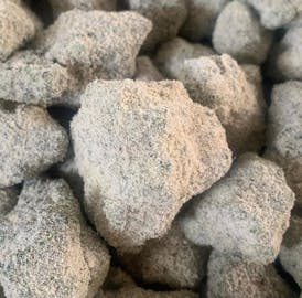 Creamsicle (H) - Sunrocks - Dadirri