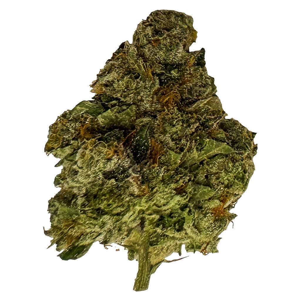 True Fire - Gastro Pop Ultra Minis Craft - Hybrid - 3.5g