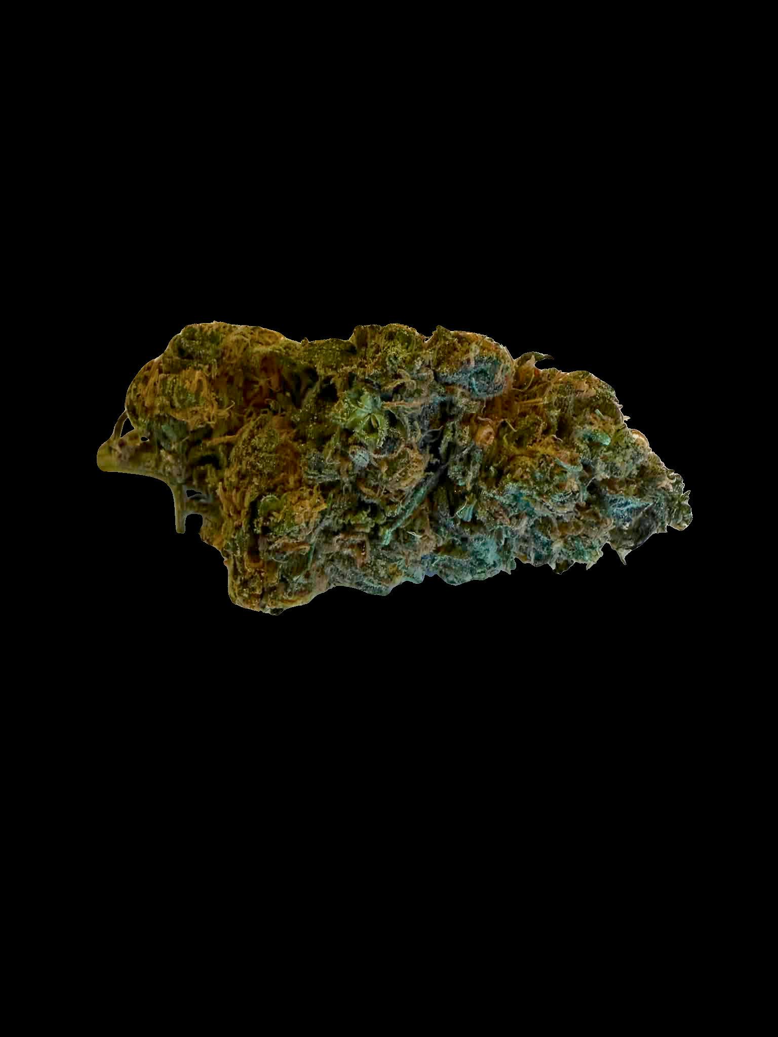 Grover at Earth Keeper Cannabis (Winthrop)-Medical