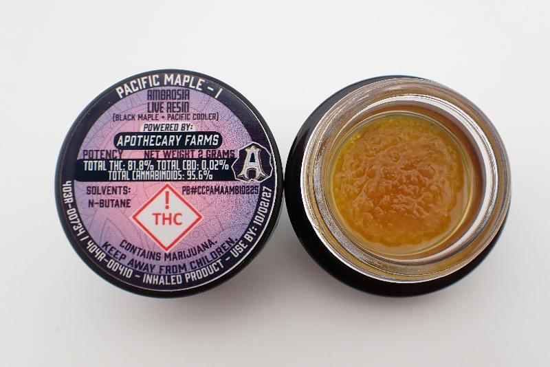 Pacific Maple Ambrosia
