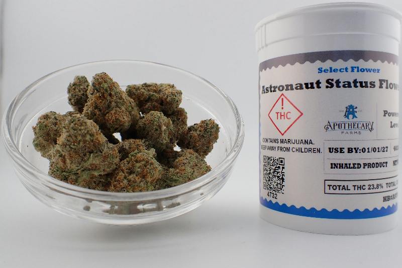 Astronaut Status Select Flower - S 7G
